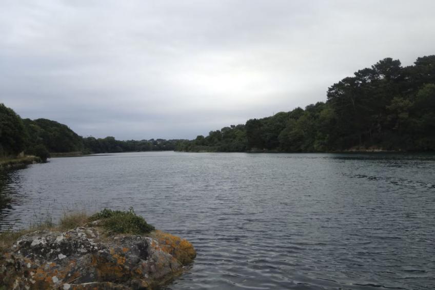 Tolles Ferienhaus in Esquibien mit Großem Garten - foto 14