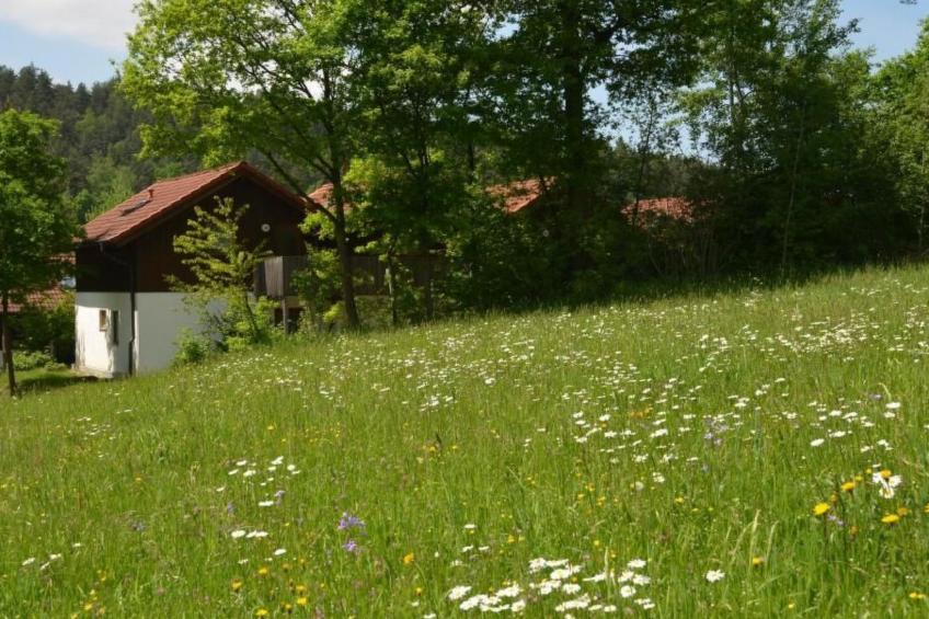 Appartement in Berghäuser mit Sonnigem Balkon - foto 23