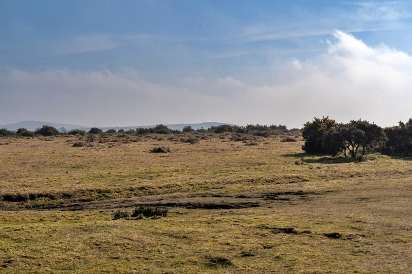 Jubilee Barn Cottage at Bodmin Moor - foto 16