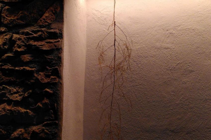 Appartement - Chez Thérèse, (Le Noirmont), - foto 6