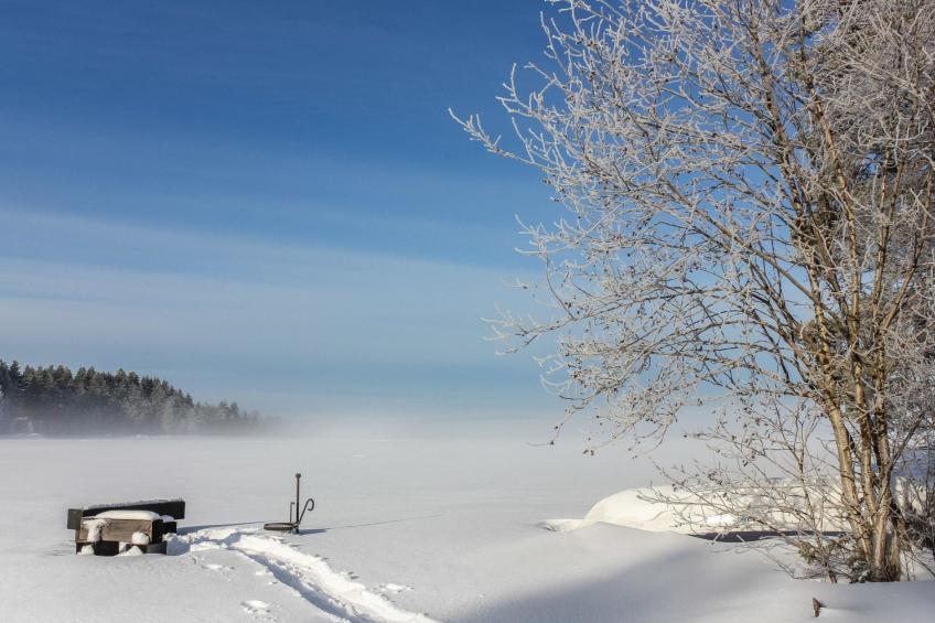 Hamppulahti - foto 23