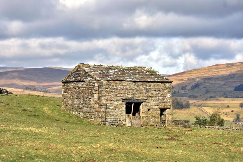 Dales Barn Top - foto 24