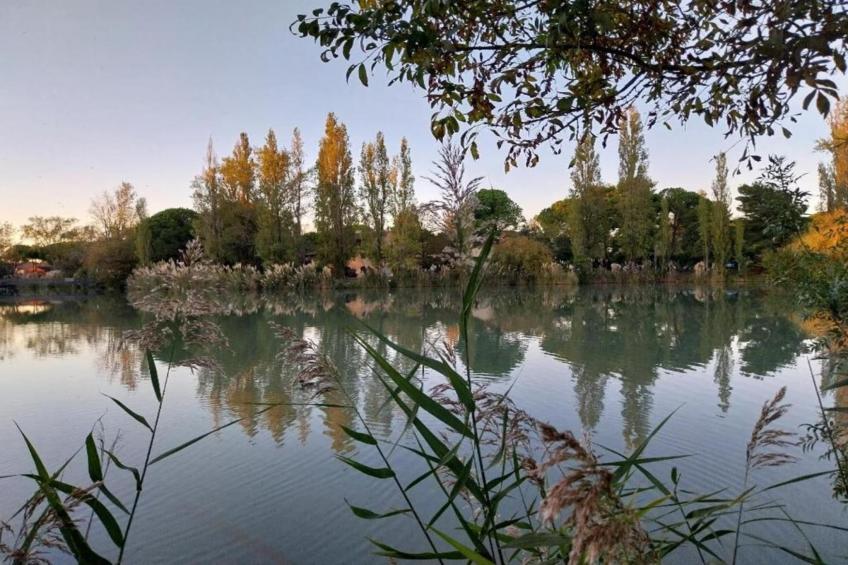 Le village Camarguais Les Gardians - foto 23