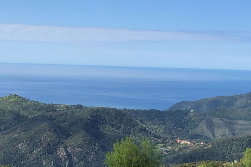 Appartement in Castiglione Chiavarese mit Garten - foto 18