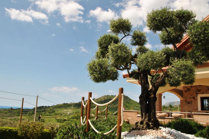 Corte Saturnia - foto 32