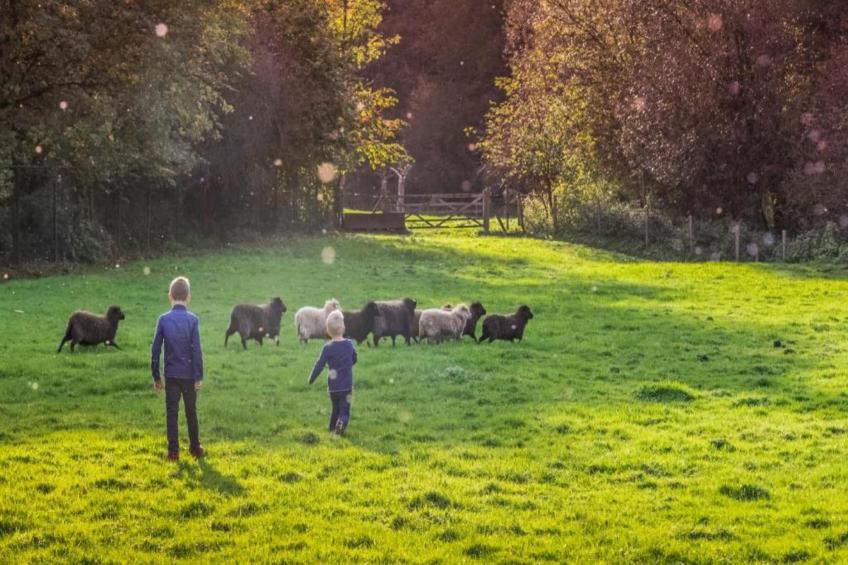 Hoeve in gunne winkel 1 - foto 30