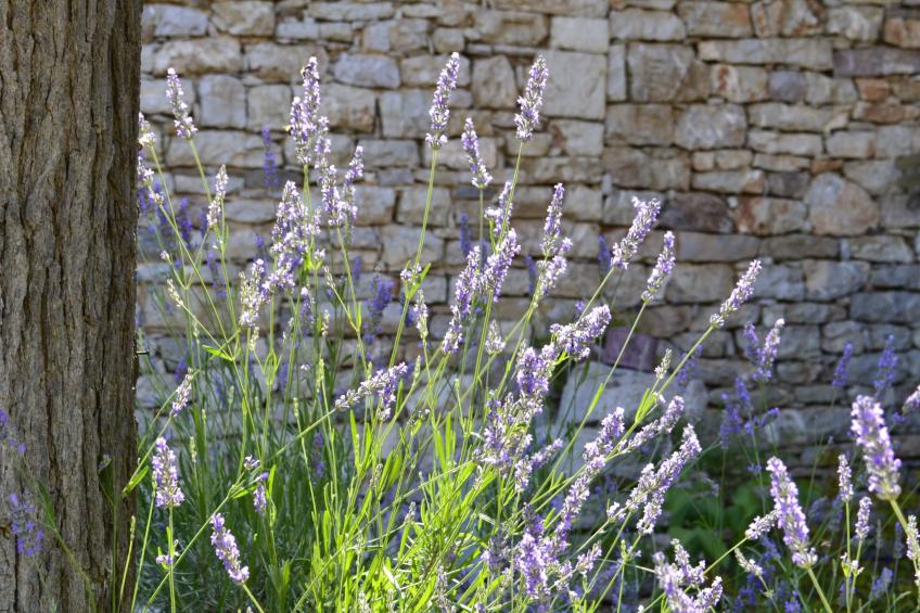 "Stone Retreat" - foto 3