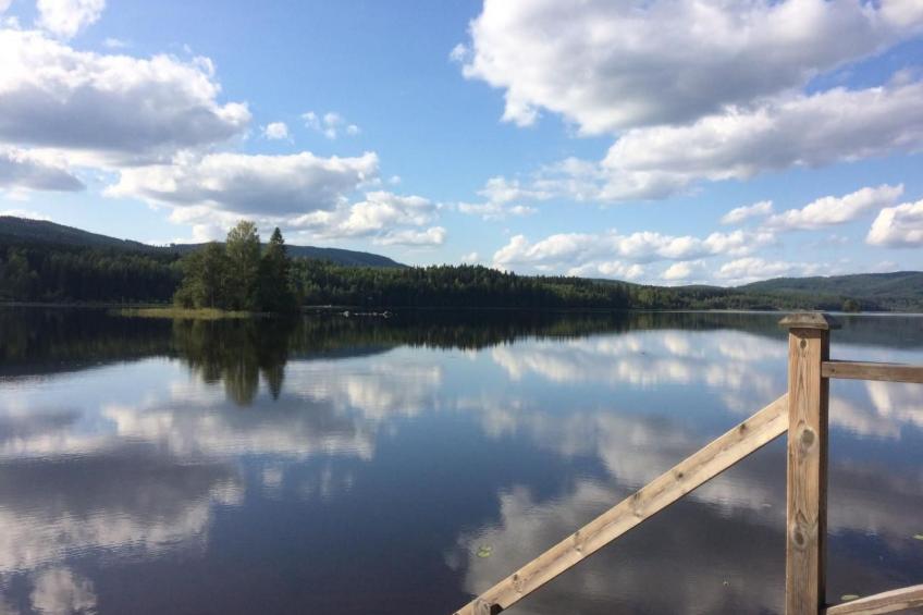 Haus Gård Solhag - foto 2