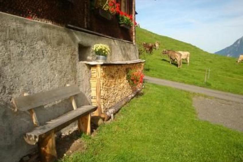 Alphütte Chilchschwand - foto 20