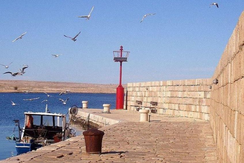 mit Blick auf das Wasser - foto 34