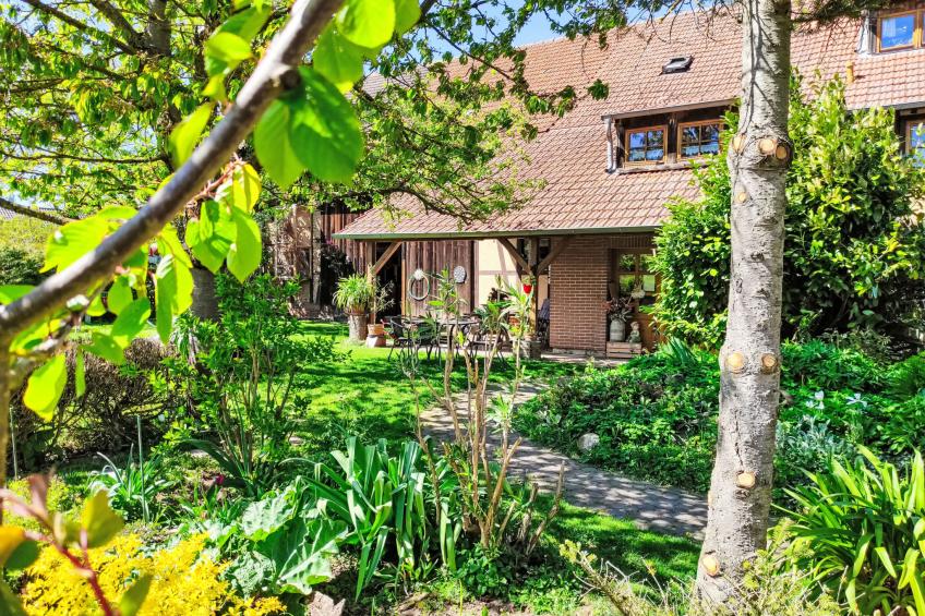 Hof- Ferienwohnung - foto 14