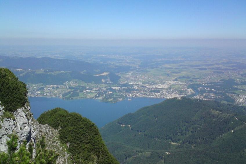 393339 - foto 22