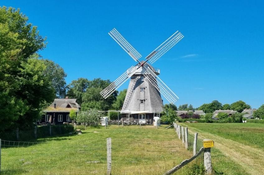 215582 - foto 3