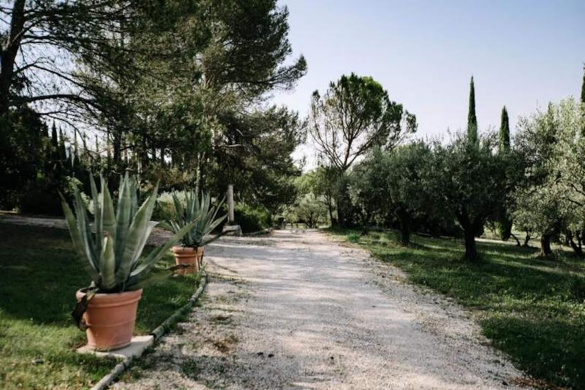 La Volière - Pernes-les-fontaines - foto 25