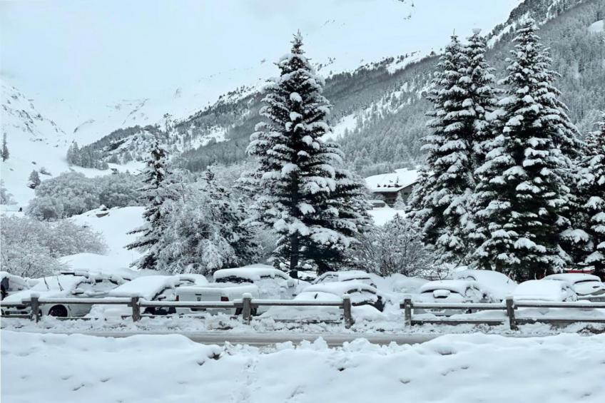 Chalet Davos - foto 16