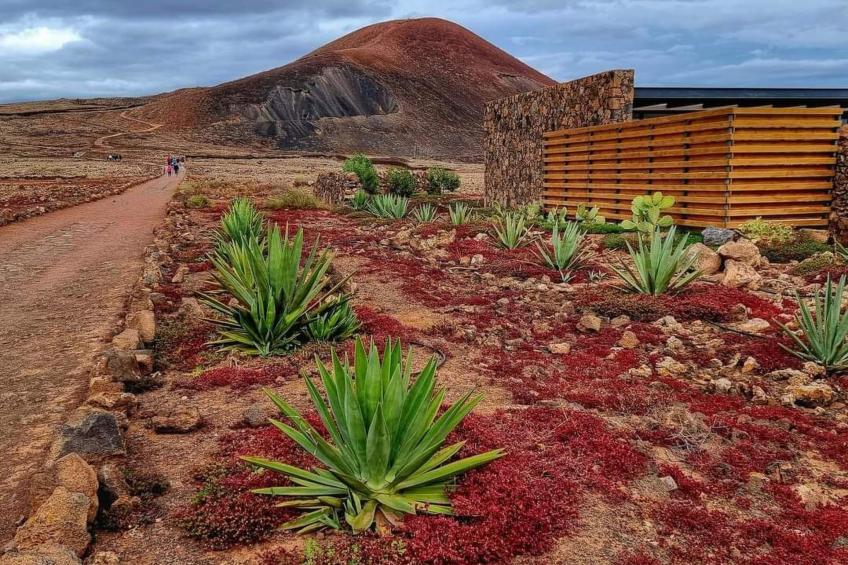 Duplex Casa Maya Caleta de Fuste - foto 40