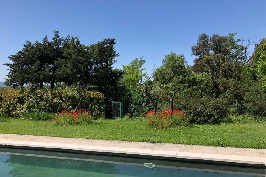 "Eutherpes Haus" - foto 9