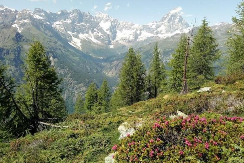 'Lo Chalet' der Balkon über dem Matterhorntal - foto 9