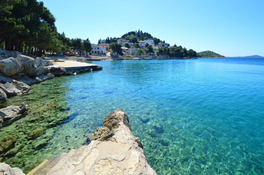 Gušt - foto 32
