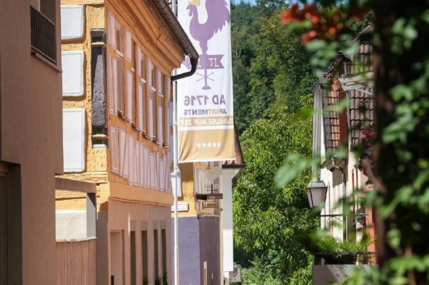 Der Tennenboden im Anno Domini 1716 - foto 6