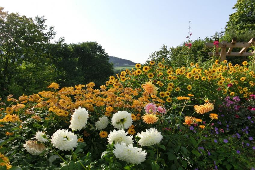 Bayerischer Wald - foto 26