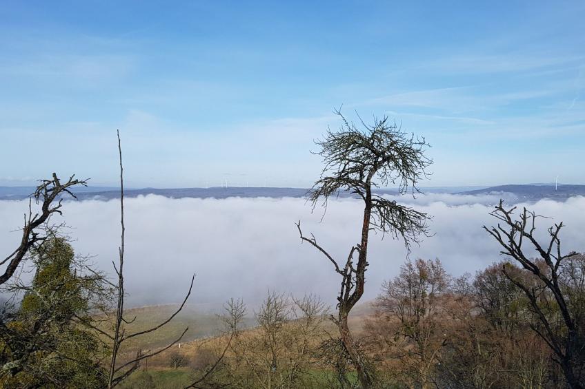 Amöneburg in Amöneburg - foto 27