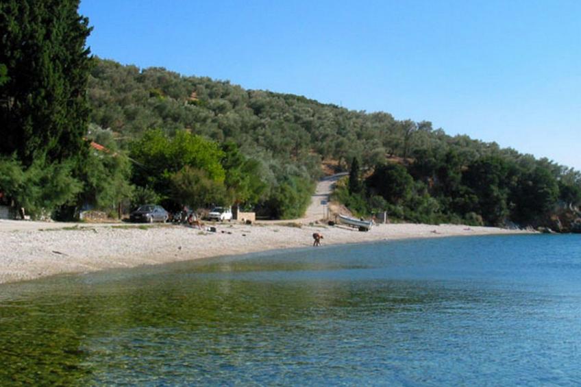 Niki Studios 1 - foto 28