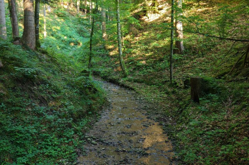 Bauernhaus VordereAu - foto 39