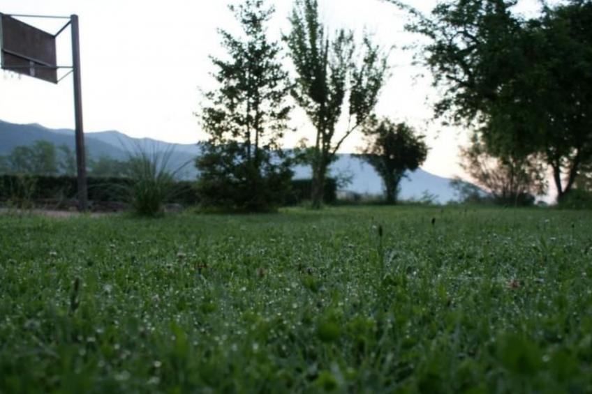 Wohnung El Graner mit großer Fensterfront - foto 15