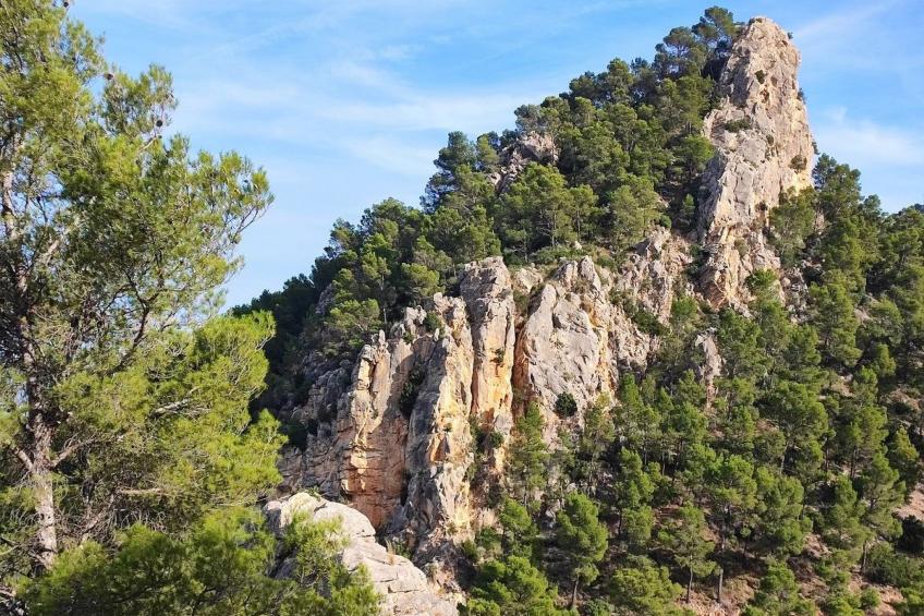 Domicilio de Vida - foto 49