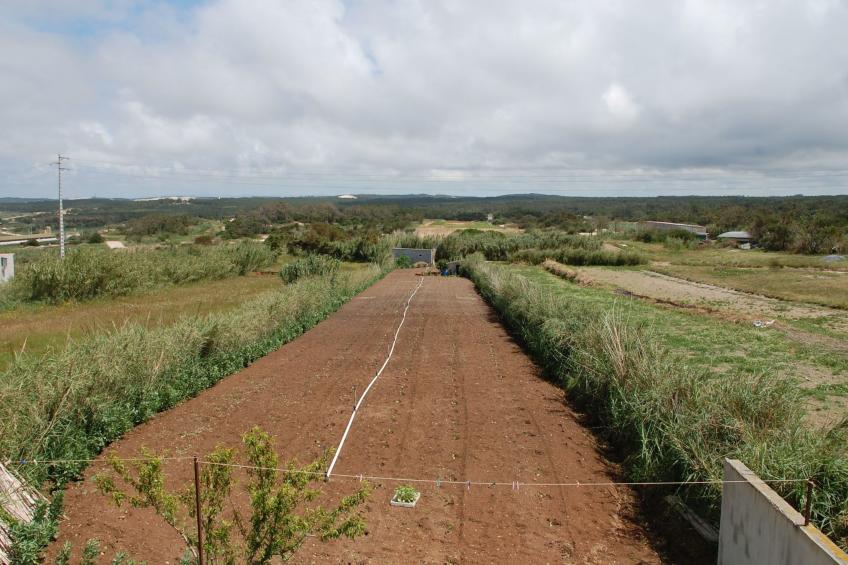 Villa "Casa Zulmira" perfekt für große Familien - foto 37