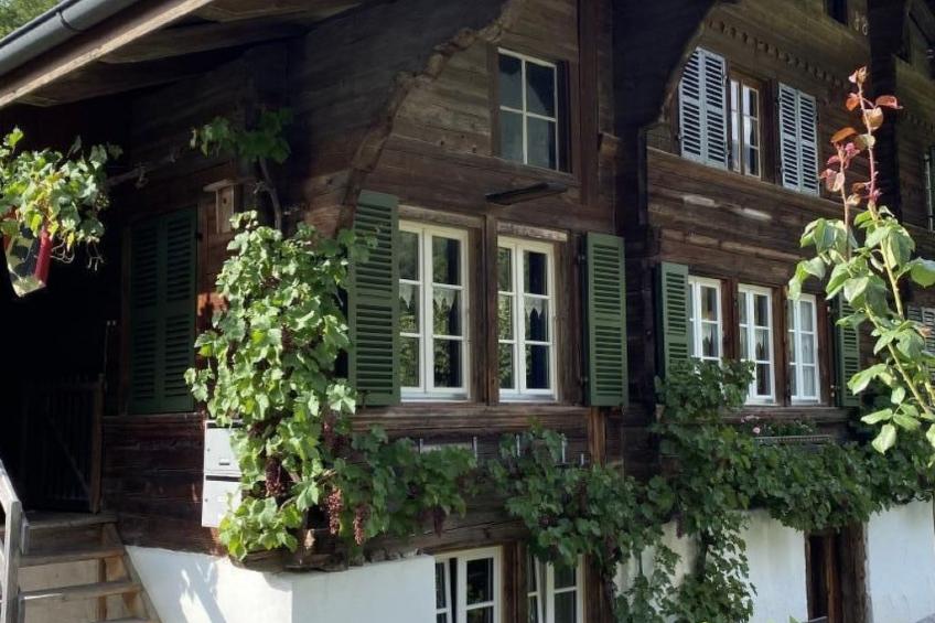 „Seesicht“ - foto 9