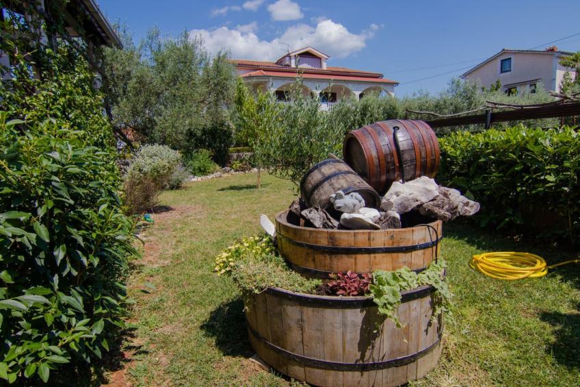 Aki Antonio - foto 3