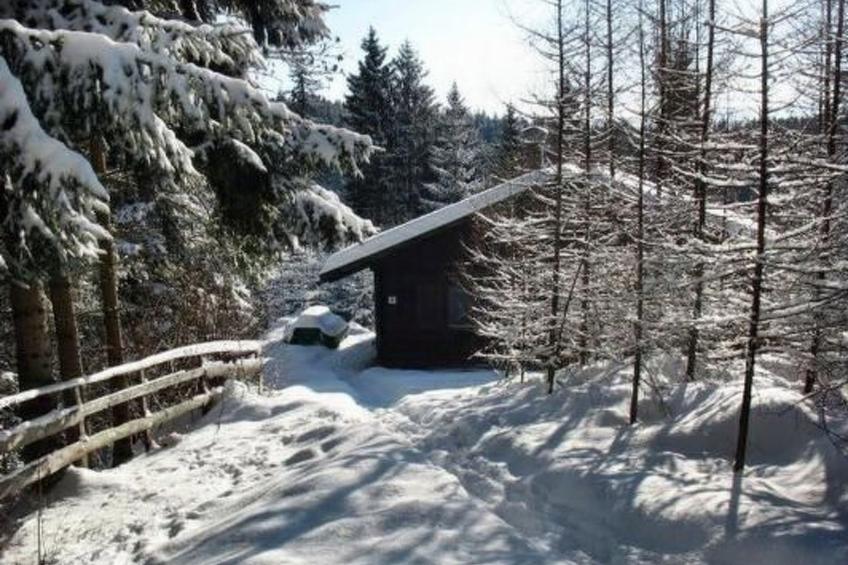 in Gnesau mit Grill - foto 12