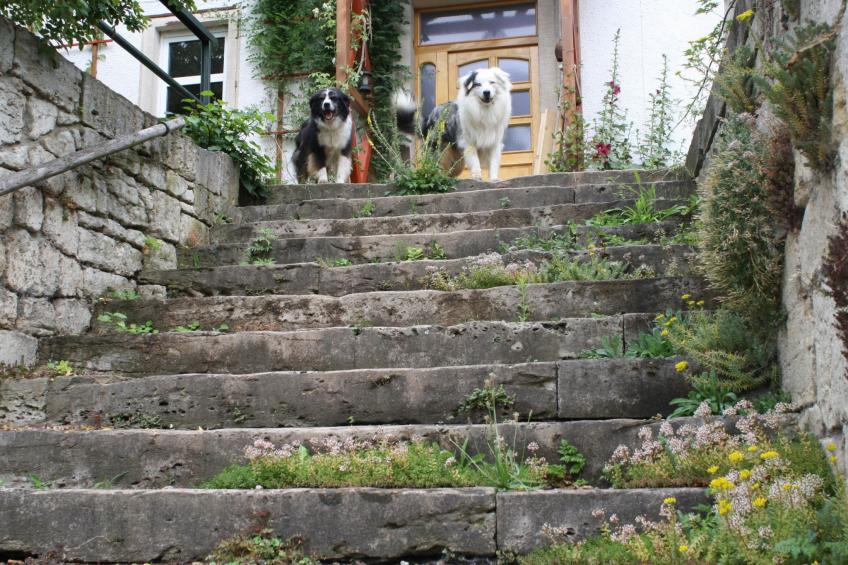 Kleine Fewo - foto 20