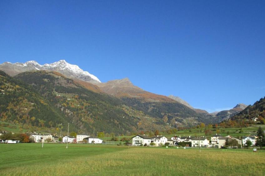 Sonnige 2.5-Zimmer Wohnung an ruhiger Lage - foto 13