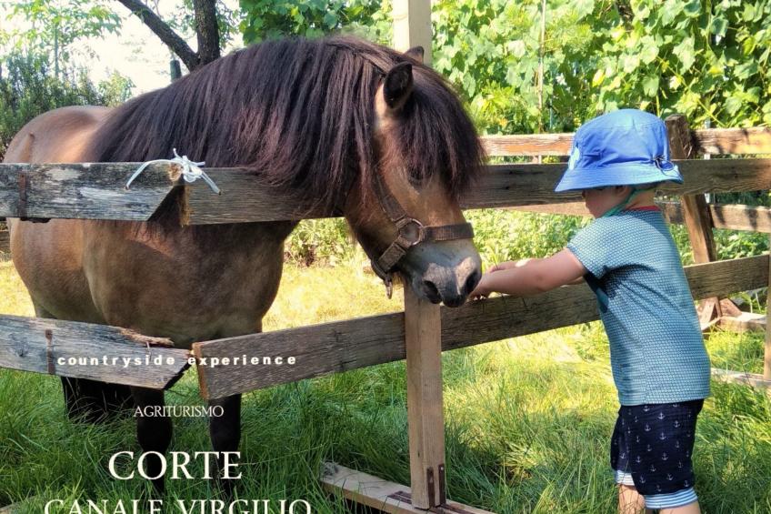 Das Landgut "Corte Canale Virgilio" mit Balkon - foto 30