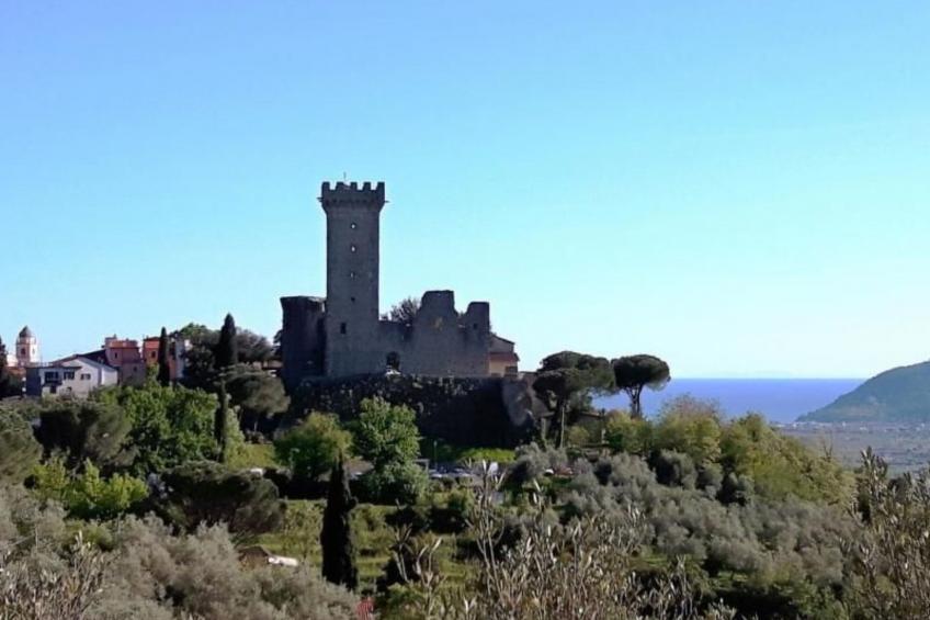 mit Wasserblick - foto 27