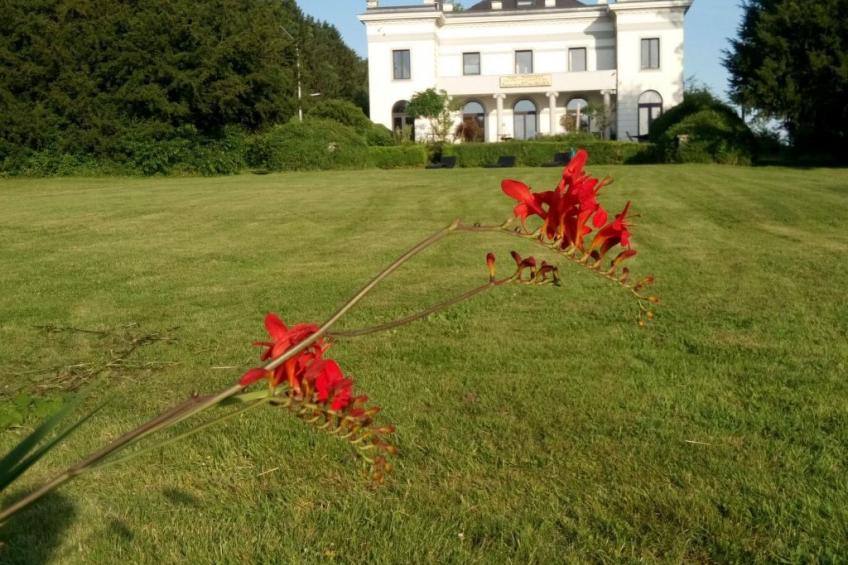 für 8 Personen - foto 43