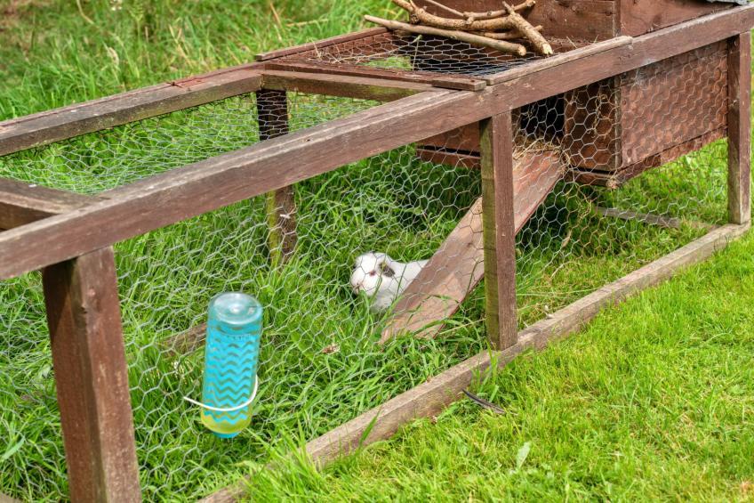 Oak Lotus Belle Tent - foto 10