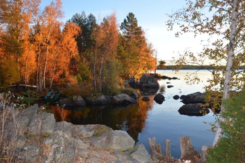 Särskilda - foto 32