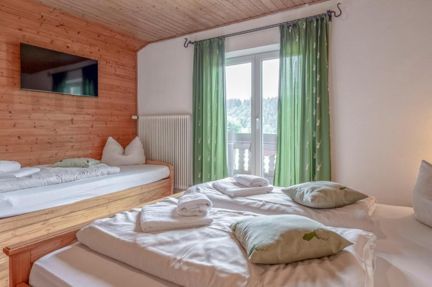 Platzhirsch Small - foto 32