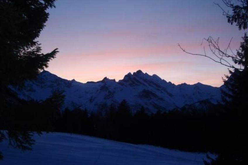 Ferien im grünen links - foto 14