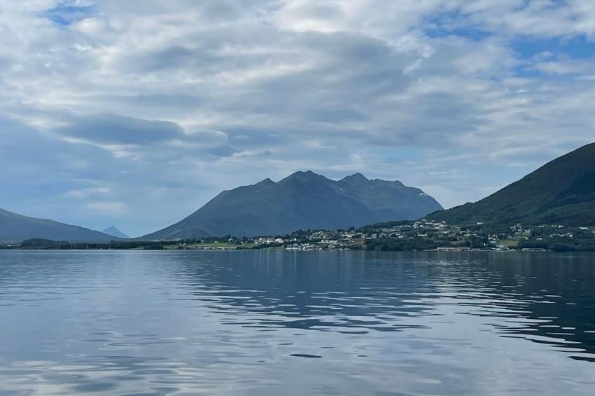 Blockhaus am Fjord - foto 25