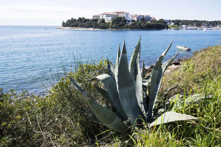Holiday apartment 150 m from the beach - BF-RZW2 - foto 23