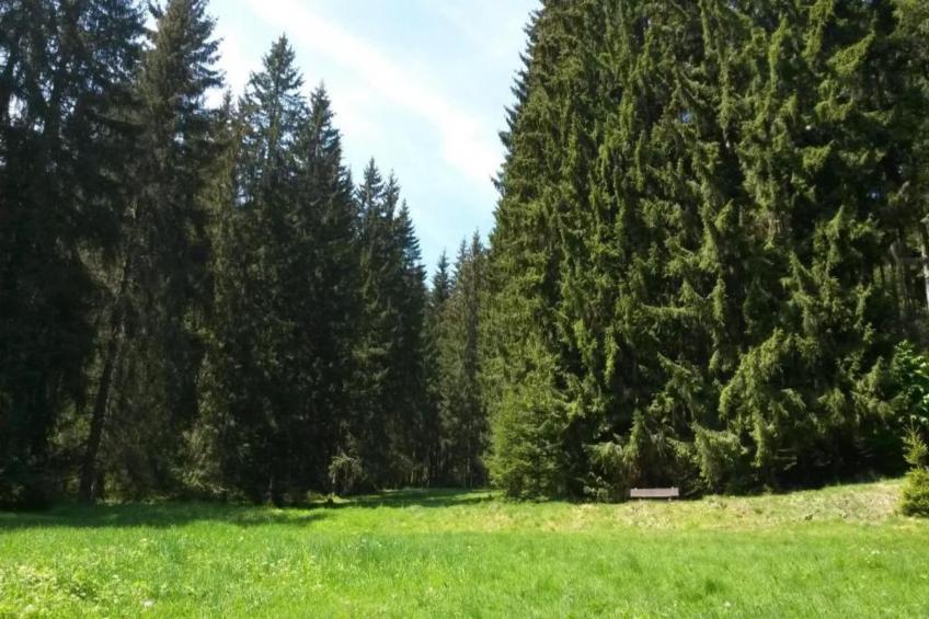 Ferienhaus Rother - foto 8