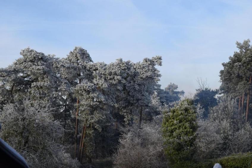 Ferienresort Bad Bentheim 23 - foto 33