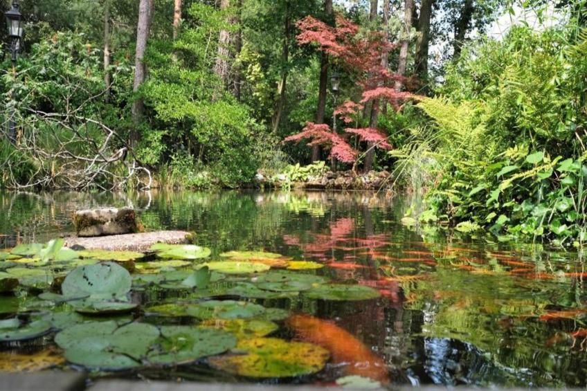 Vakantiepark Hessenheem 4 - foto 33