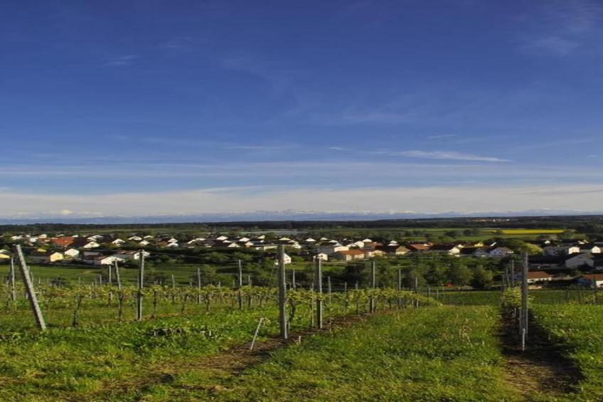 Ferienwohnung Markdorf - foto 34