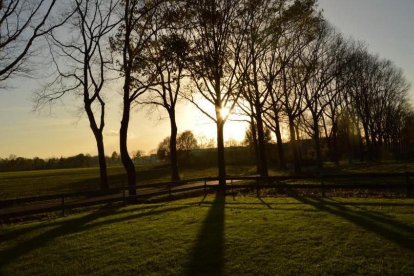 De Open Schuur - foto 2